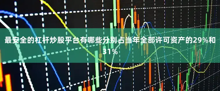最安全的杠杆炒股平台有哪些分别占当年全部许可资产的29%和31%