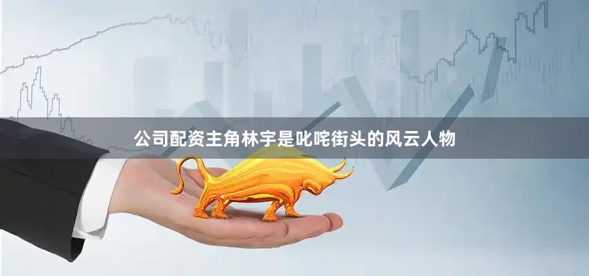 公司配资主角林宇是叱咤街头的风云人物